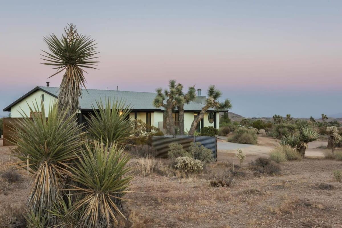 Yucca Hut - Design Forward Oasis Near Joshua Tree Villa Eksteriør billede