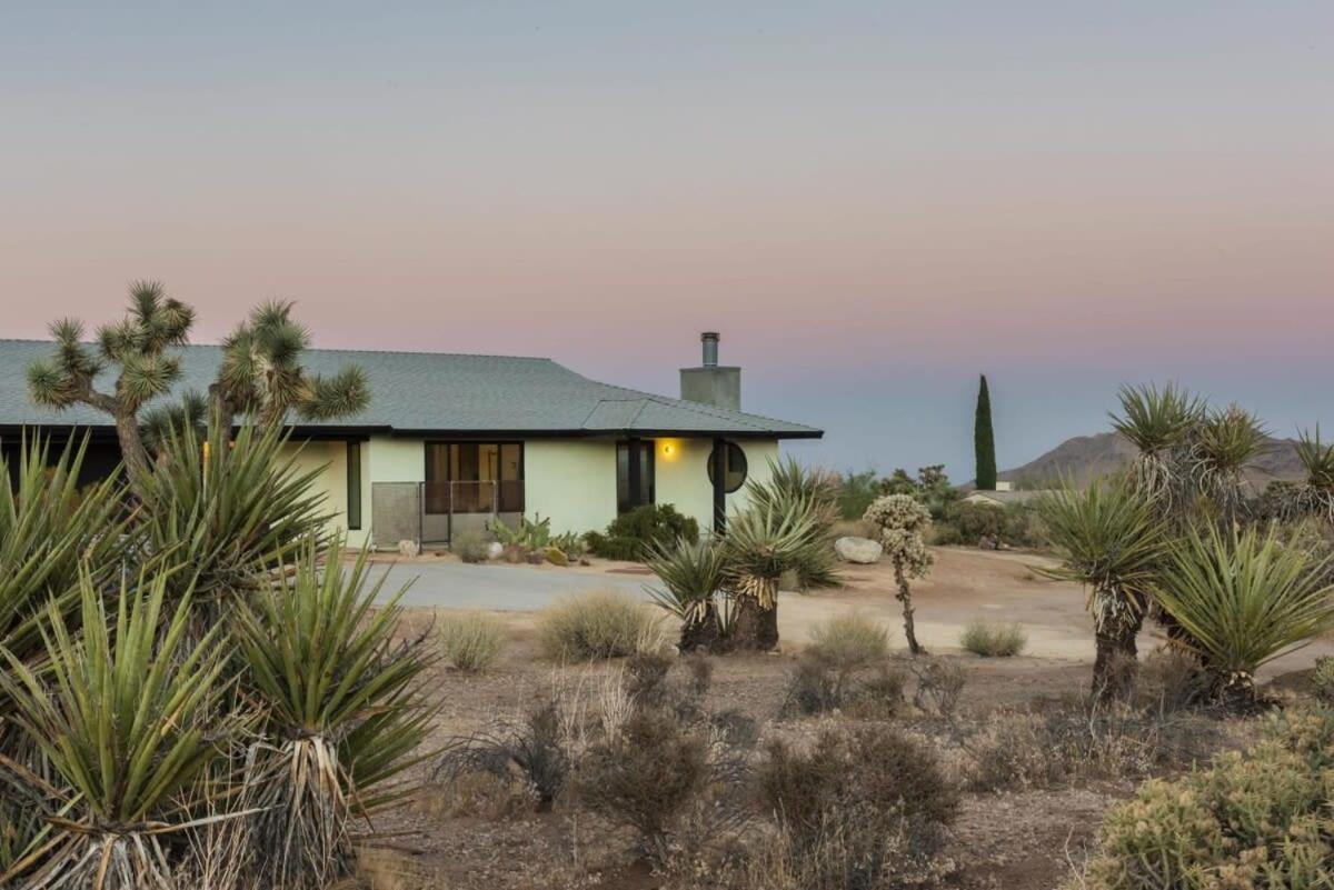 Yucca Hut - Design Forward Oasis Near Joshua Tree Villa Eksteriør billede