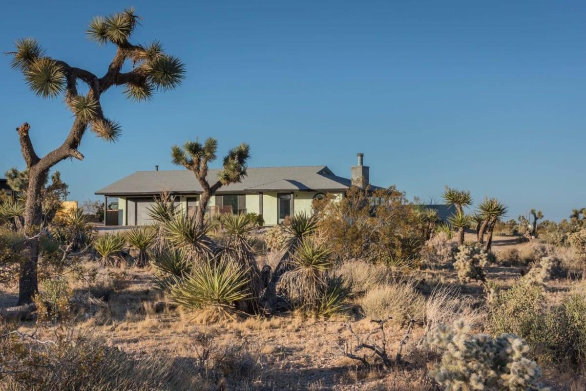 Yucca Hut - Design Forward Oasis Near Joshua Tree Villa Eksteriør billede